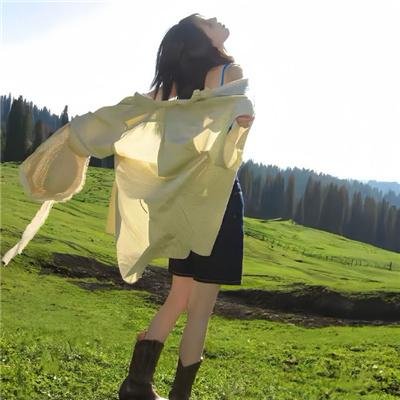 榜上佳婿海报
