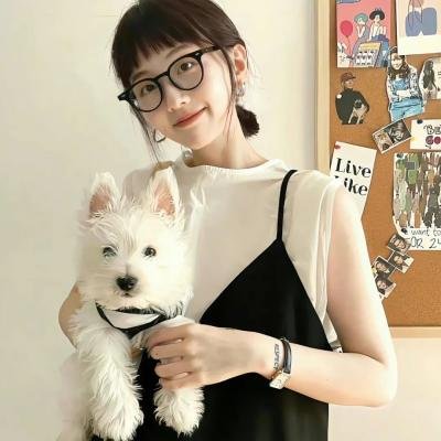 谎言与错觉海报