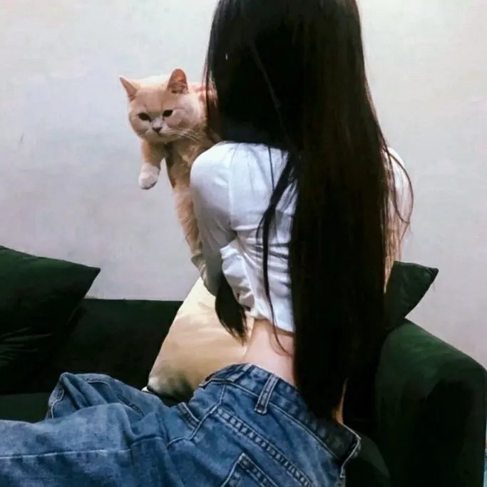 带着婆婆嫁海报